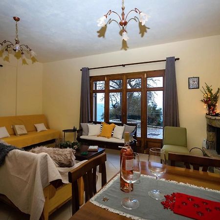 Meli Apartments Arachova Eksteriør billede
